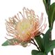 A & B Home Green/Red Protea Stem-2