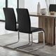 Armen Living Amanda 2-Piece Black/Chrome Side Chair Set-1