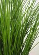 Le Present Potted Green 47" Faux Botanical Grass-3