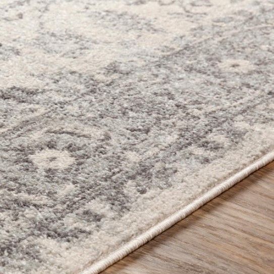 Surya Chester 5'x7' Area Rug-3