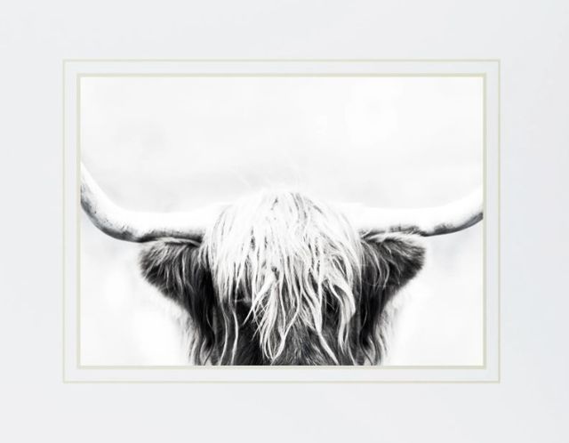 Classy Art Longhorn by Danita Delimont Wall Art-2