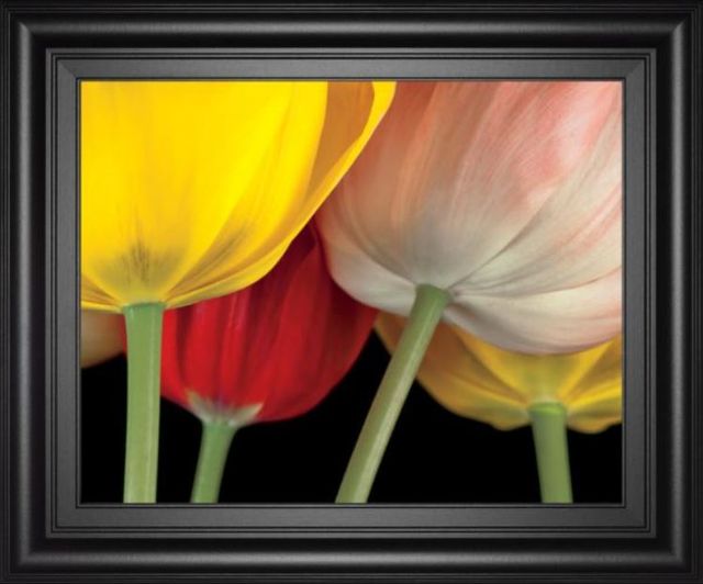 Classy Art Sunshine Tulips by Frank, A. Wall Art-0
