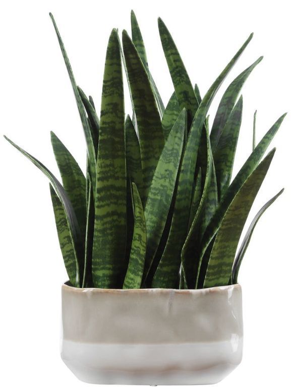 Uttermost® Sansera Snake Baige/Tan Accent Plant-3