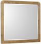 Coaster® Robyn Light Ash Dresser Mirror-1