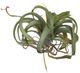 A & B Home Green Faux Spider Plant Stem-0