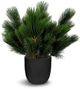Le Present Green 22" Faux Botanical Pinus-0