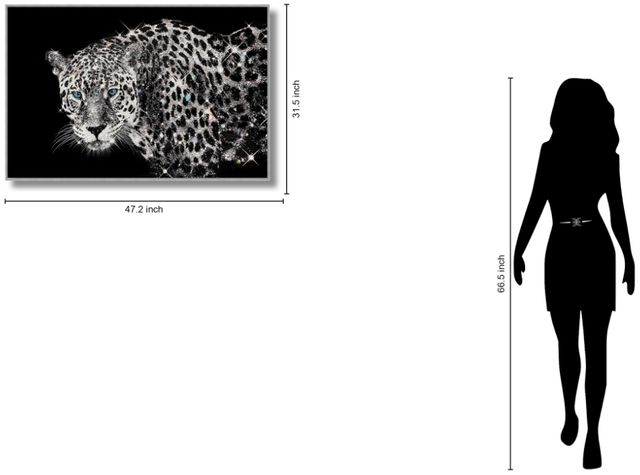 Classy Living Untamed Glossy Framed Leopard with Rocks Wall Art-2
