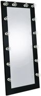 Coaster® Zayan Glossy Black Floor Mirror-0