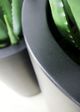 Le Present Cylinder Black 36" Planter-2