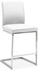 Mazin Furniture Shirelle White Counter Side Dining Chair-0