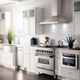 ZLINE 24" Stainless Steel Wall Mounted Range Hood-1