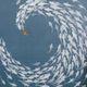 StyleCraft Norman Wyatt Jr Whirlpool Wall Art-1