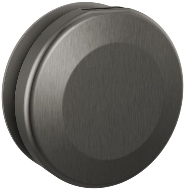 Delta SteamScape™ Classic System Lumicoat® Black Stainless Round Steam Head-0