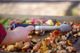 Pit Boss® Grills Soft Touch Bbq Tongs-3