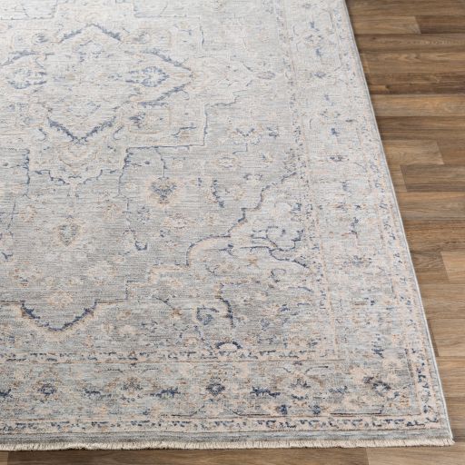Surya Palazzo Light Blue/Light Gray 8'x10' Area Rug-4