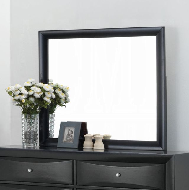ACME Furniture Ireland Black Dresser Mirror-3