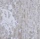 Renwil® Blake 8'x10' Style 2 Area Rug-4