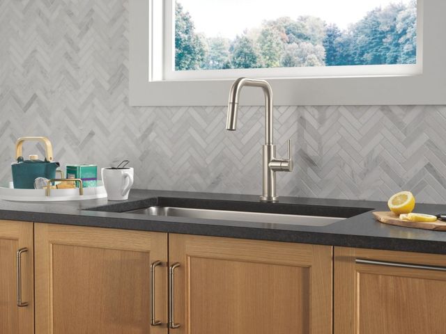 Delta Nicoli® Stainless Single Handle Faucet-1