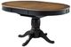 Signature Design by Ashley® Clorazi Brown Oval Dining Table with Black Base-0