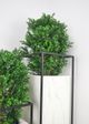 Le Present Green 27.5" Faux Botanical Boxwood Tree-3