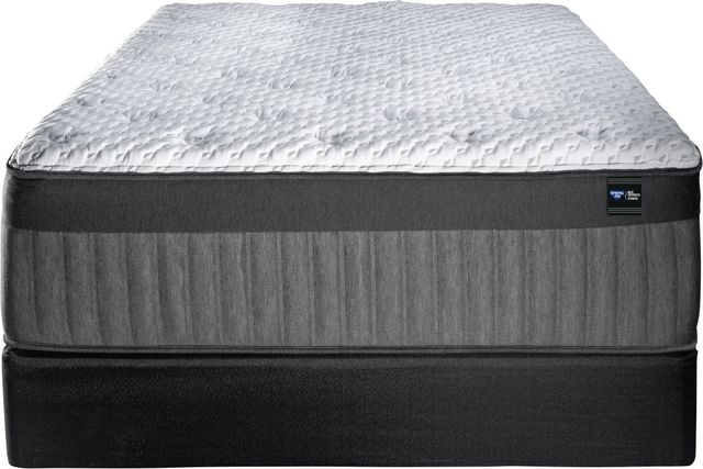 Spring Air® Back Supporter Michelle 16.5" Hybrid Firm Tight Top King Mattress-2