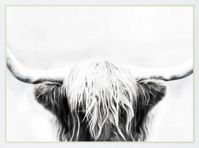 Classy Art Longhorn by Danita Delimont Mirrored Frame Wall Art-1