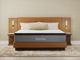 Nealden Plush Queen Mattress-2