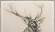 Stylecraft Black 33" Oil Painting -1