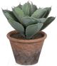 A & B Home Green Potted Plush Cactus-0
