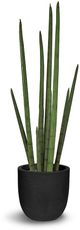 Le Present Sanseveria Green 29.5" Faux Botanical Cylindrica-0
