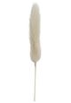 A & B Home White Dried Natural Bunny Tail Bundle-2