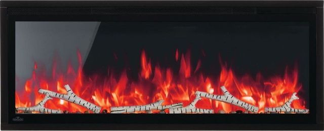 Napoleon Entice™ 42" Electric Wall Mounted Fireplace-0