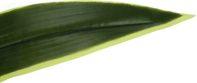Monarch Specialties Inc. Black 47" Artificial Potted Dracaena Tree-2