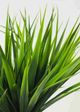 Le Present Green Potted Faux Botanical Grass-1