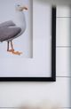 A & B Home Set of 2 Black/Gray/White Seagull Wall Art-5