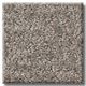  Shaw® Floors Pet Perfect Plus Emergence Flax Carpet-0