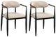 ACME Furniture Jaramillo 2-Piece Beige/Black Arm Chair Set-0