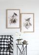 A & B Home 2-Piece Bird Framed Print Set-5