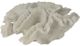 A & B Home White Faux Coral Decorative Object-2