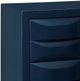 Olliix by Madison Park Navy Rubrix Chest-4