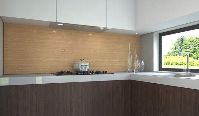 Faber Inca Lux 21" Stainless Steel Insert Range Hood-2