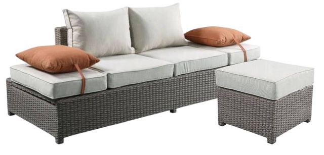 ACME Furniture Salena 2-Piece Beige/Gray Wicker Outdoor Patio  