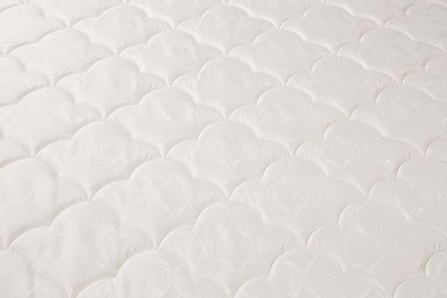 Mattress 1st® by Serta® Ambler 7.75" Innerspring Plush Euro Top Twin Mattress-2