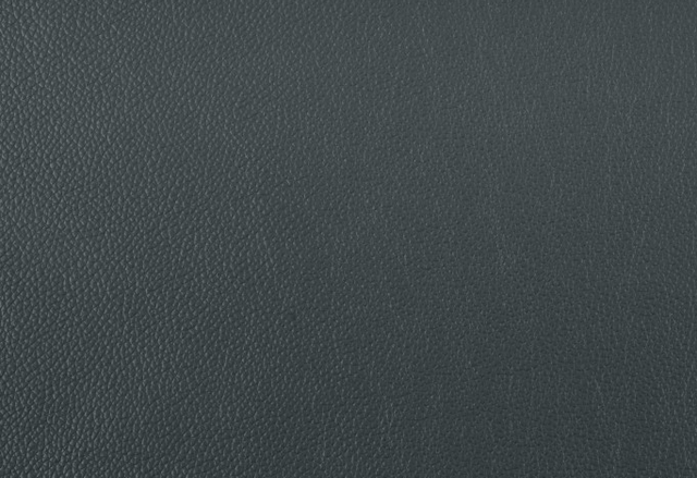 Mazin Furniture Mischa Dark Gray Sofa-2