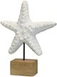 Stylecraft White Star Fish Statue-0