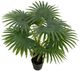 A & B Home Green 31.5" Fern Tree in Pot-1
