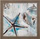 Stylecraft Driftwood Shell Collage II Beige/Blue/Brown Wall Art-0