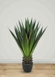 Le Present Agave Green And Yellow Faux Botanical-3