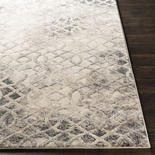 Surya Cash Gray 2'x3' Area Rug-4