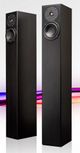 Totem Acoustics High-Fidelity Floor Standing Speaker-0